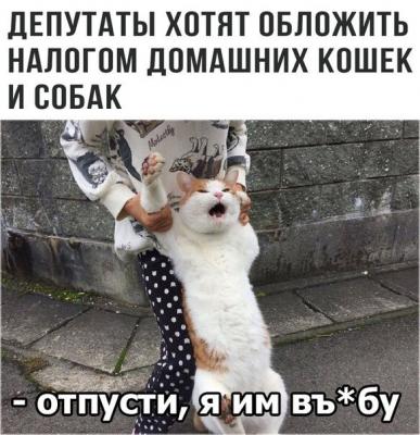 Прикрепленное изображение: налог.jpg